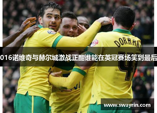 016诺维奇与赫尔城激战正酣谁能在英冠赛场笑到最后