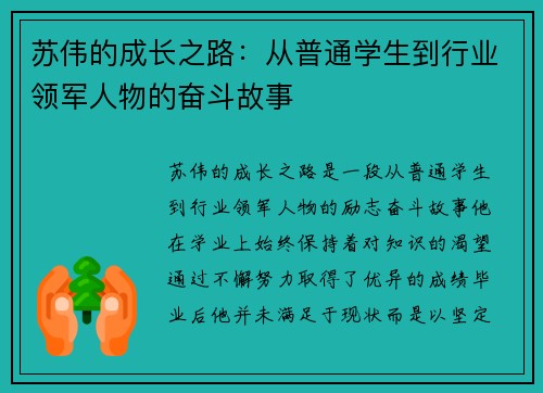 苏伟的成长之路：从普通学生到行业领军人物的奋斗故事